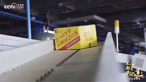 央视再访洽洽透明工厂 揭秘“新鲜”密码，看洽洽如何以网络技术服务引领行业变革